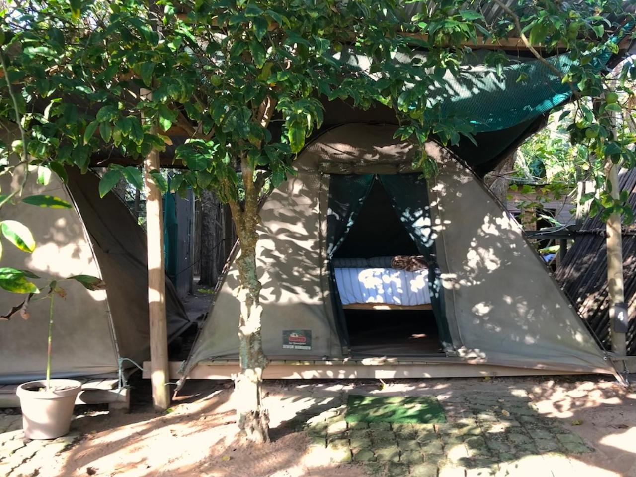 The Riverdeck Accommodation And Backpackers Knysna Exterior foto