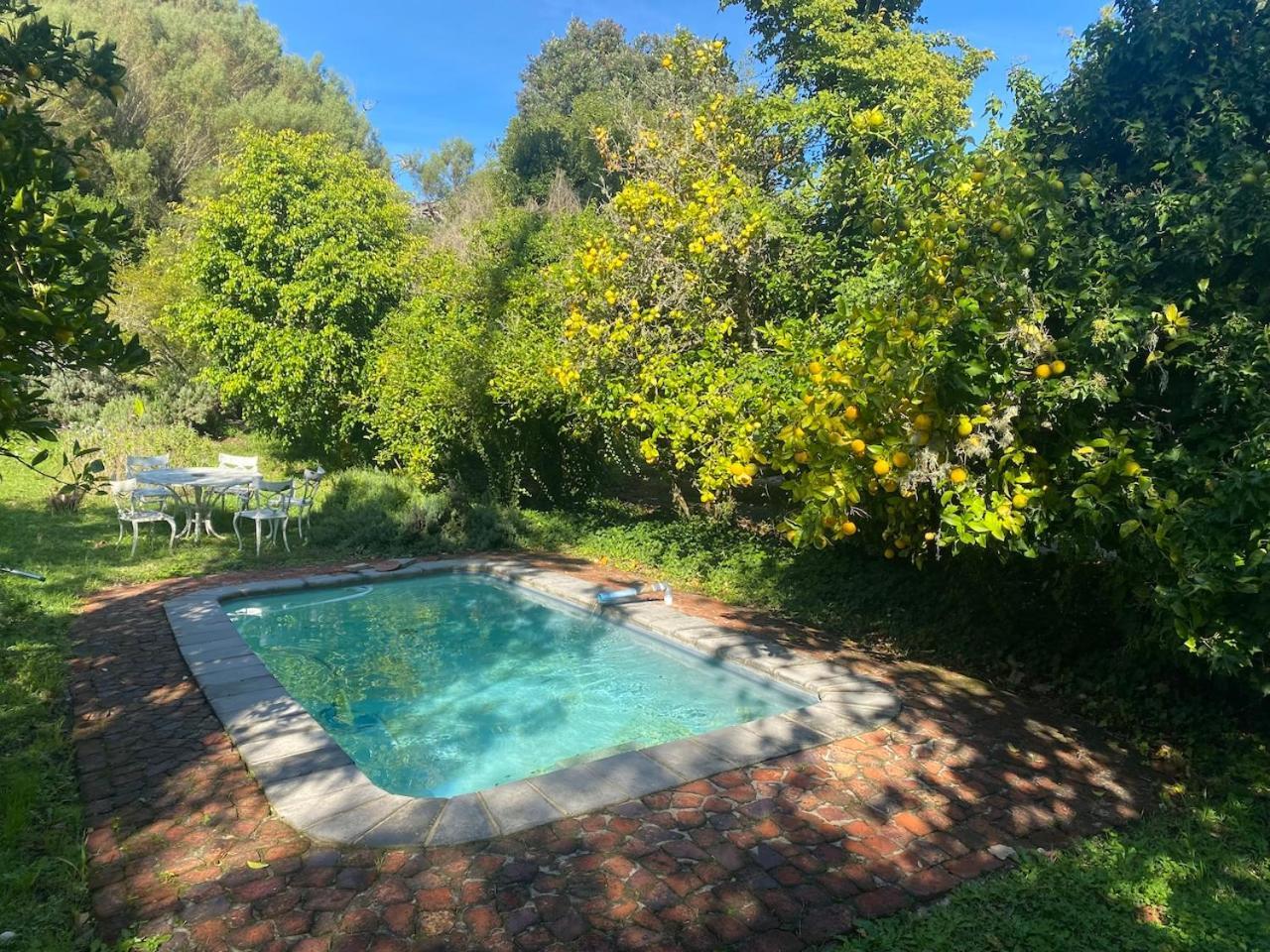 The Riverdeck Accommodation And Backpackers Knysna Exterior foto