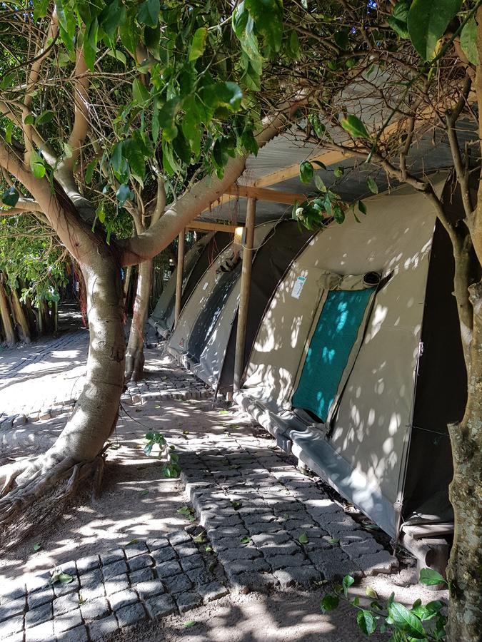 The Riverdeck Accommodation And Backpackers Knysna Exterior foto